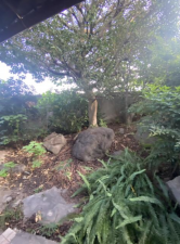 泉佐野市湊、中古一戸建ての画像です