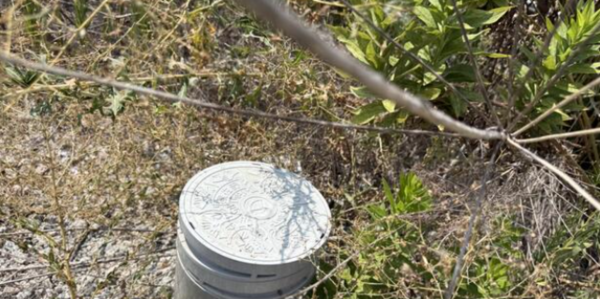 泉佐野市日根野、土地の画像です