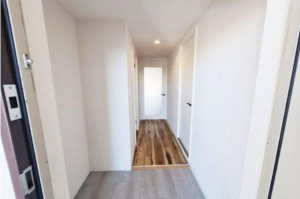 泉佐野市羽倉崎、マンションの画像です