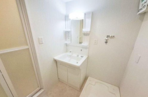 泉佐野市羽倉崎、マンションの画像です