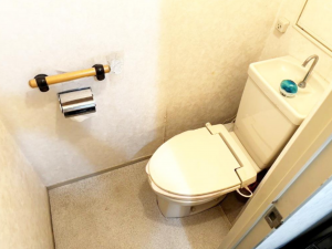 泉佐野市羽倉崎、マンションの画像です