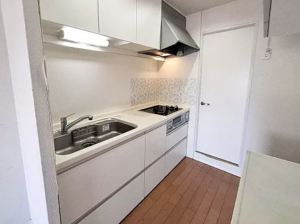 泉佐野市羽倉崎、マンションの画像です