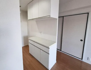 泉佐野市羽倉崎、マンションの画像です