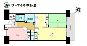 貝塚市海塚、マンションの間取り画像です