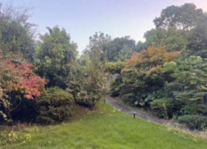 岸和田市池尻町、中古一戸建ての画像です