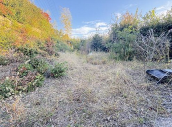 泉南郡熊取町青葉台、土地の画像です