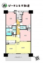岸和田市沼町、マンションの間取り画像です