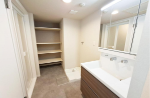 貝塚市地蔵堂、マンションの洗面画像です