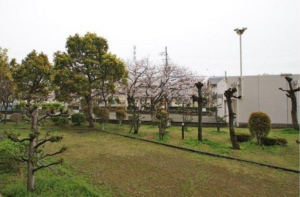 貝塚市地蔵堂、マンションの画像です