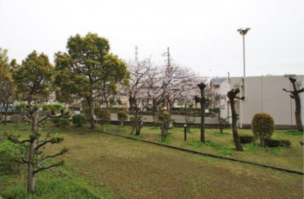 貝塚市地蔵堂、マンションの画像です