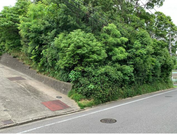 岸和田市岡山町、土地の画像です