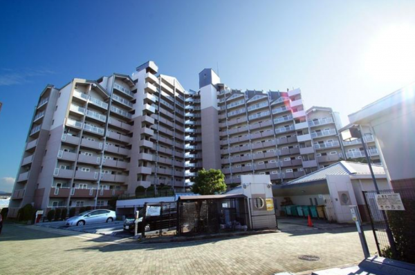 貝塚市海塚、マンションの画像です