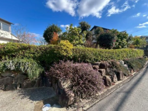 泉佐野市泉ケ丘、土地の画像です