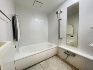 貝塚市福田、マンションの画像です