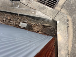 岸和田市南上町、土地の画像です