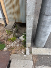 岸和田市南上町、土地の画像です