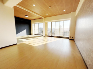 岸和田市下野町、マンションの画像です