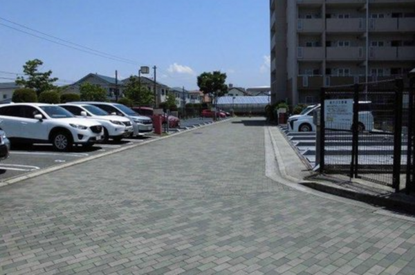 貝塚市海塚、マンションの画像です