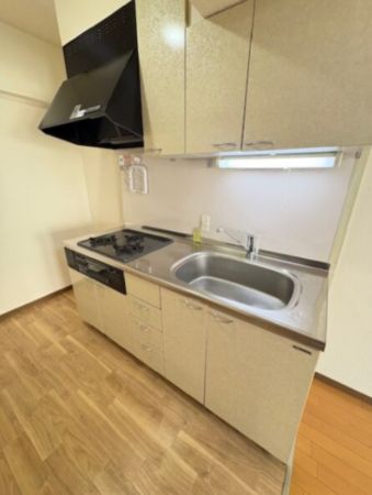 岸和田市神須屋町、マンションの画像です