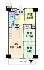 泉佐野市羽倉崎、マンションの間取り画像です