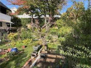 泉佐野市泉ケ丘、土地の画像です