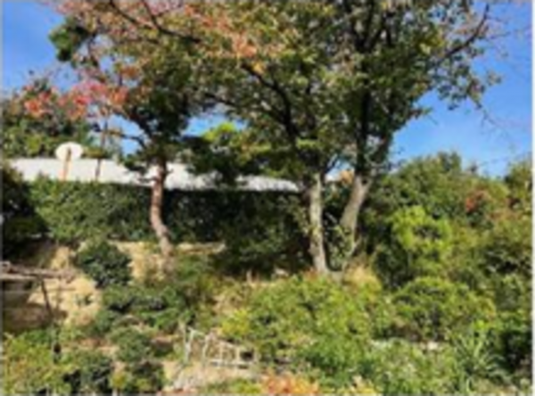 泉佐野市泉ケ丘、土地の画像です