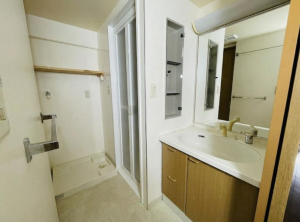 泉佐野市羽倉崎、マンションの画像です