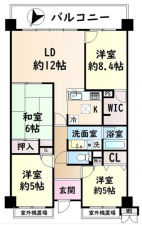 貝塚市清児、マンションの間取り画像です