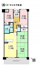 貝塚市南町、マンションの間取り画像です