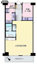 岸和田市下野町、マンションの間取り画像です