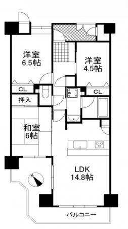 岸和田市野田町、マンションの間取り画像です