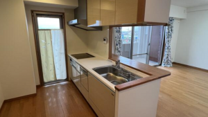 泉佐野市羽倉崎、マンションの画像です