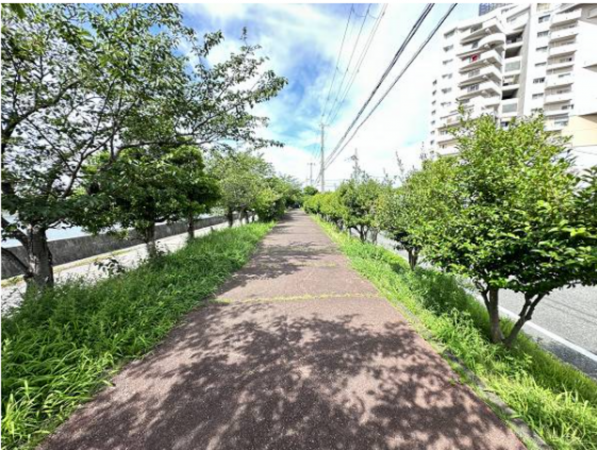 貝塚市二色、マンションの画像です