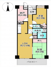 貝塚市澤、マンションの間取り画像です