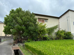 岸和田市三田町、土地の画像です