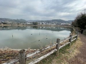 大村市池田新町、土地のその他環境写真画像です