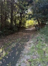 松江市法吉町、土地の画像です