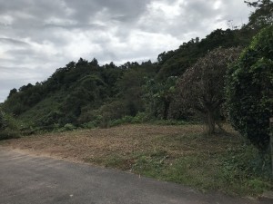 松江市東津田町、土地の画像です