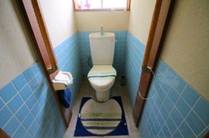 松江市秋鹿町、中古一戸建てのトイレ画像です