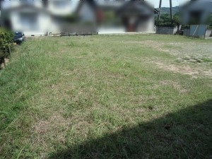 松江市東忌部町、土地の画像です