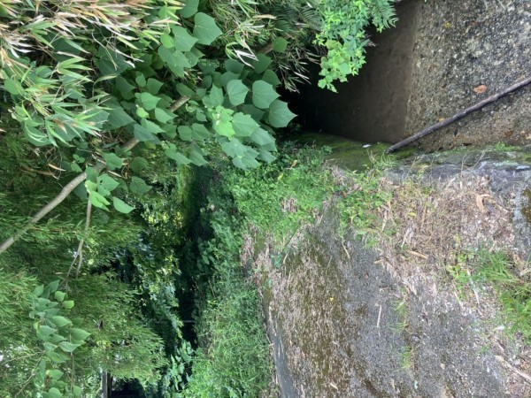 宇城市小川町、土地の画像です