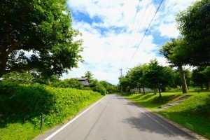 阿蘇市一の宮町、土地の画像です