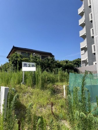 熊本市東区健軍、土地の画像です