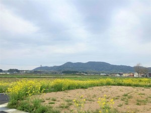 熊本市南区城南町、土地の画像です