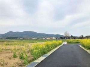 熊本市南区城南町、土地の画像です