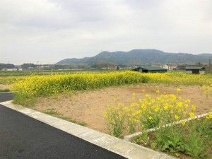 熊本市南区城南町、土地の画像です