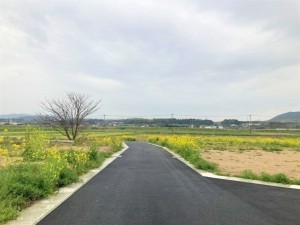 熊本市南区城南町、土地の画像です