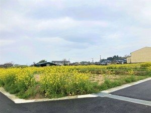 熊本市南区城南町、土地の画像です