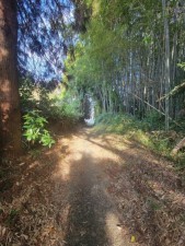 熊本市北区植木町、土地の画像です