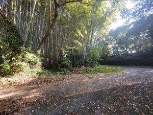 熊本市北区植木町、土地の画像です